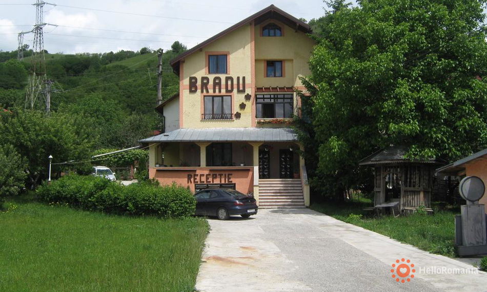 Camere Pensiunea Bradu Agârcia Imagine Pensiunea Bradu Agârcia