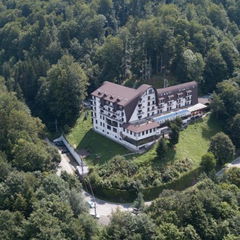 Cazare Hotel Valea cu Pesti Arefu Imagine Hotel Valea cu Pesti Arefu