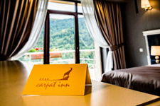 Hotel Carpat Inn Azuga