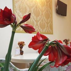 Accommodation New 3* 