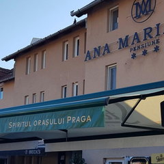 Accommodation Pensiunea Ana Maria - Sänmartin Băile Felix