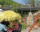 Vizitează Golden Spirit Băile Herculane Vedere de ansamblu Golden Spirit Băile Herculane