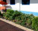Cazare Hotel Golden Spirit  Vedere de ansamblu Hotel Golden Spirit