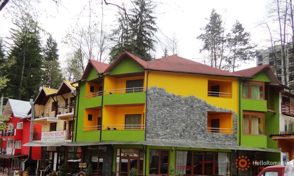 Galerie Pensiunea Izvoarele 