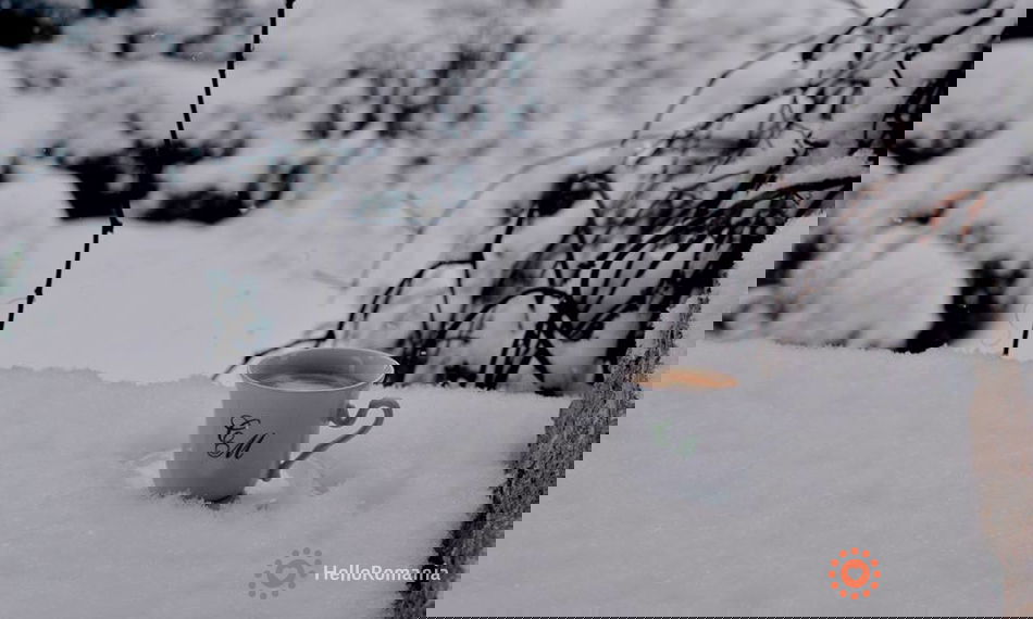 Gallery CASTELUL MARIA 