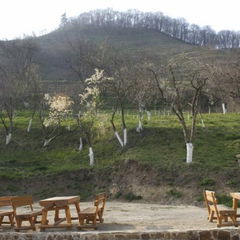 Book Pensiunea Unglerus Biertan Overview Pensiunea Unglerus Biertan