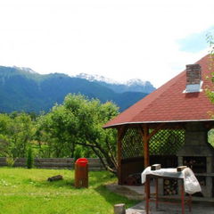 Galerie Bradul Inalt Bran