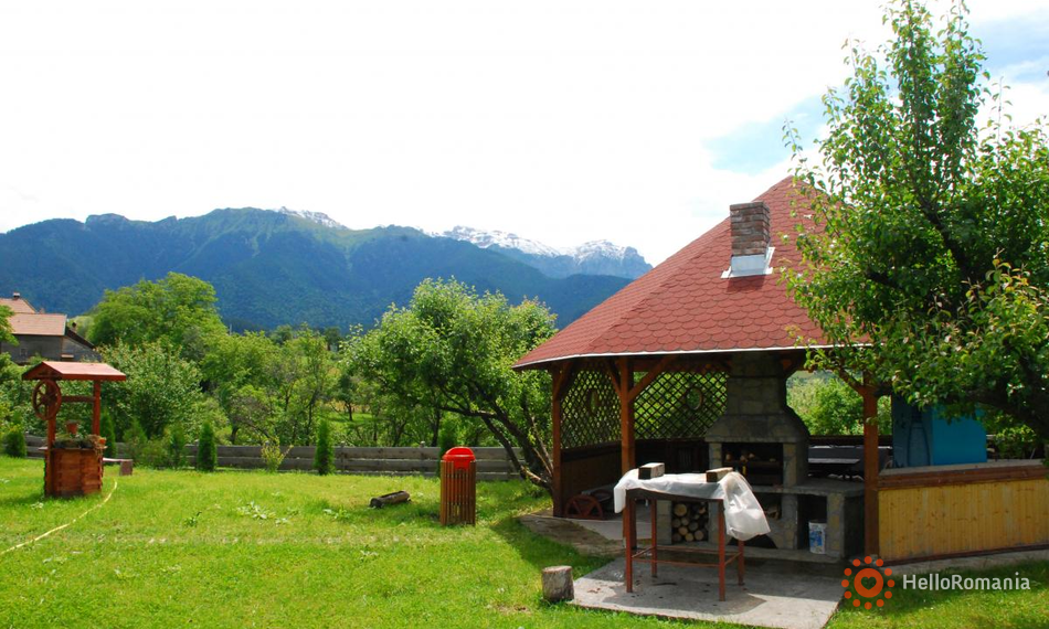 Galerie Bradul Inalt Bran