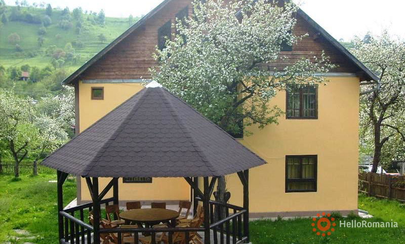 Rooms Monica Bran Accommodation Monica Bran