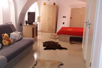 Cazare Apartament Costy Central Studio Foto Apartament Costy Central Studio