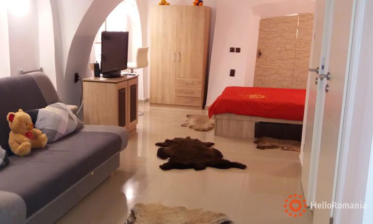 Book Apartament Costy Central Studio  Image Apartament Costy Central Studio