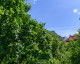 Vizitează Pensiunea Casa Bono 3* Brașov Galerie Pensiunea Casa Bono 3* Brașov