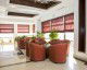 Camere PHOENICIA COMFORT HOTEL  Cazare PHOENICIA COMFORT HOTEL