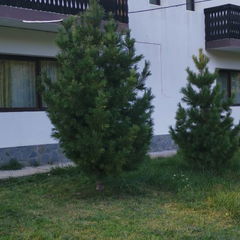Vizitează PENSIUNEA RAISA 3*  Galerie PENSIUNEA RAISA 3*