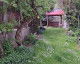 Cazare Vila Cascada 3*  Imagine Vila Cascada 3*