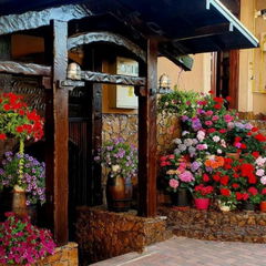 Cazare Casa Domneasca Rarau  Foto Casa Domneasca Rarau