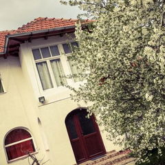 Imagine Casuta Cu Lavanda 