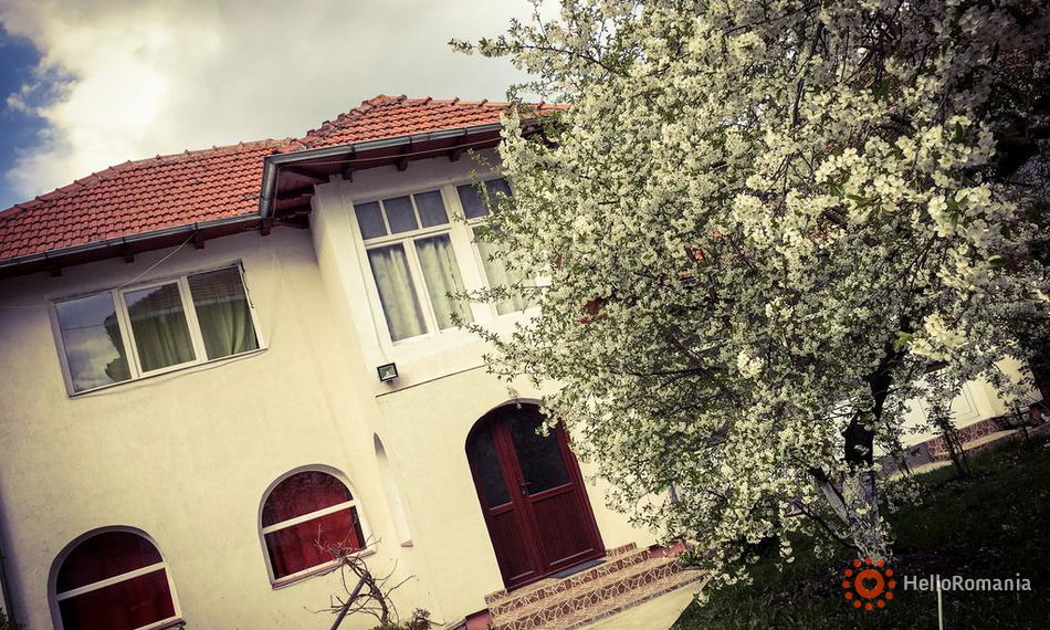 Imagine Casuta Cu Lavanda 