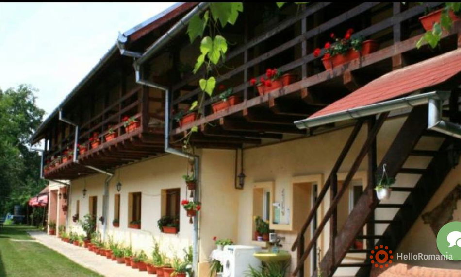 Imagine Leia Cârțișoara