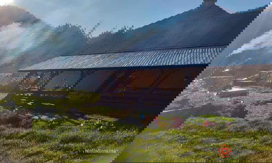 Accommodation Family Time 