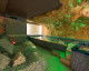 Rezervă Hotel Paradis  Foto Hotel Paradis