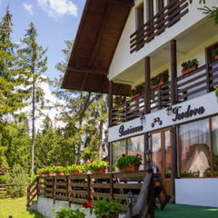 Camere Pensiunea Teodora Cozănești Cazare Pensiunea Teodora Cozănești