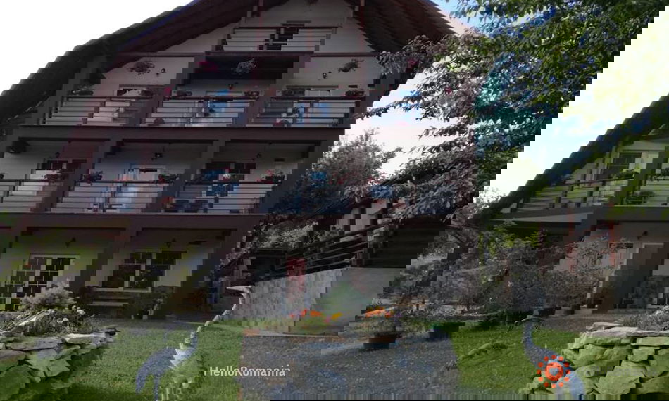 Cazare Pensiunea Franc Danesti