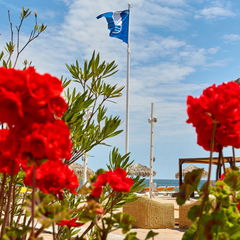 Accommodation Boutik Cytadell  Overview Boutik Cytadell