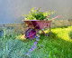 Accommodation Mavboutique Eforie Nord Overview Mavboutique Eforie Nord