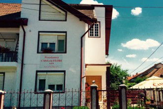 Cazare Pensiunea Casa Cu Flori Hateg Cazare Pensiunea Casa Cu Flori Hateg