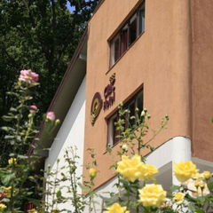 Rezervă Hotel Ciric  Foto Hotel Ciric