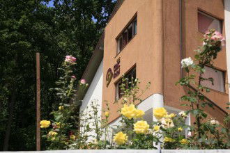 Camere Hotel Ciric Imagine Hotel Ciric