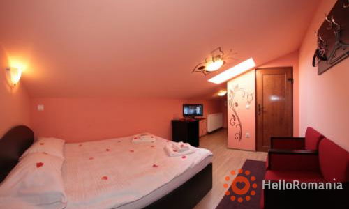 Vedere de ansamblu Pensiunea Palace 