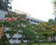 Vizitează Hotel PICCADILLY MAMAIA Vedere de ansamblu Hotel PICCADILLY MAMAIA