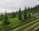 Vizitează Hotel FLOARE DE COLT  Foto Hotel FLOARE DE COLT