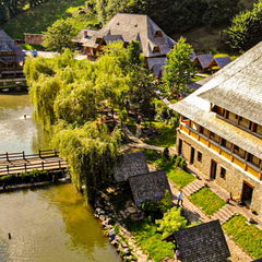 Book Pastravaria Alex Mara Gallery Pastravaria Alex Mara