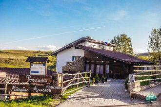 Camere Margau Apuseni Mărgău Foto Margau Apuseni Mărgău
