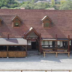 Accommodation Hanul Micfalau 