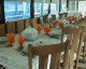 Book Hotel Plutitor Magia Deltei Murighiol Accommodation Hotel Plutitor Magia Deltei Murighiol
