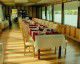 Rooms Hotel Plutitor Magia Deltei  Photo Hotel Plutitor Magia Deltei
