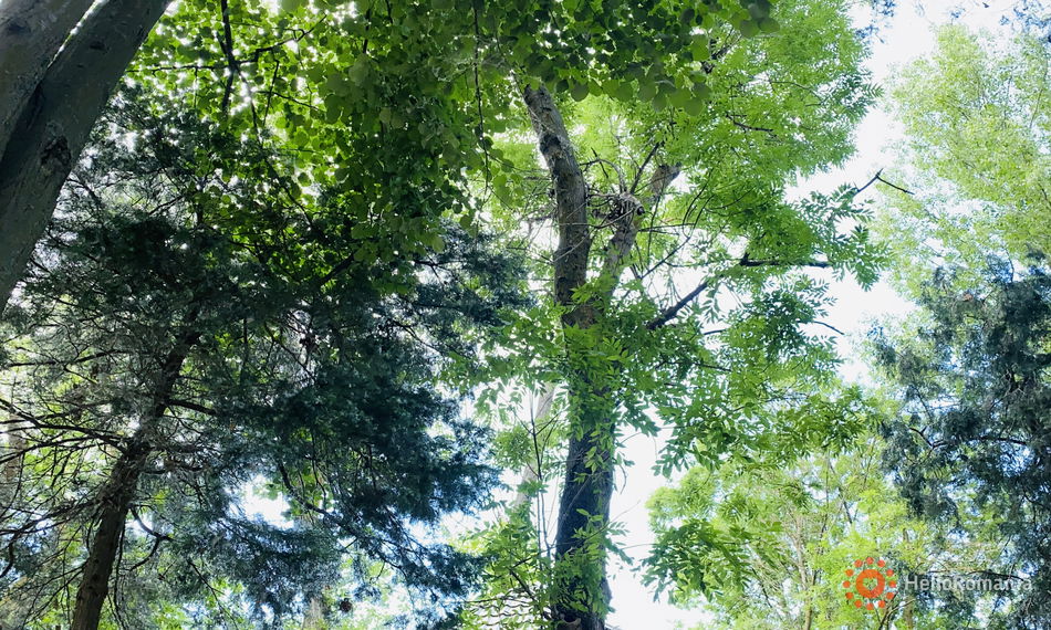 Overview Complex Holiday Neptun Neptun