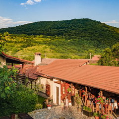 Overview Casa Dives - Varianta Boierească 