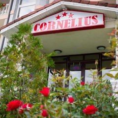 Accommodation Pensiunea Cornelius  Gallery Pensiunea Cornelius