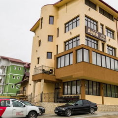 Imagine Vila Ayan Piatra Neamt