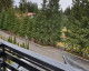 Visit Hotel Miraj Poiana Brasov Image Hotel Miraj Poiana Brasov