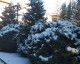 Book Miraj Poiana Brasov Overview Miraj Poiana Brasov