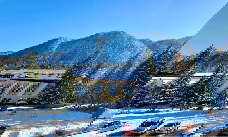 Rooms Vila Simonte Poiana Brasov  Accommodation Vila Simonte Poiana Brasov