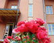 Galerie Praid - Parajd Panzió Praid