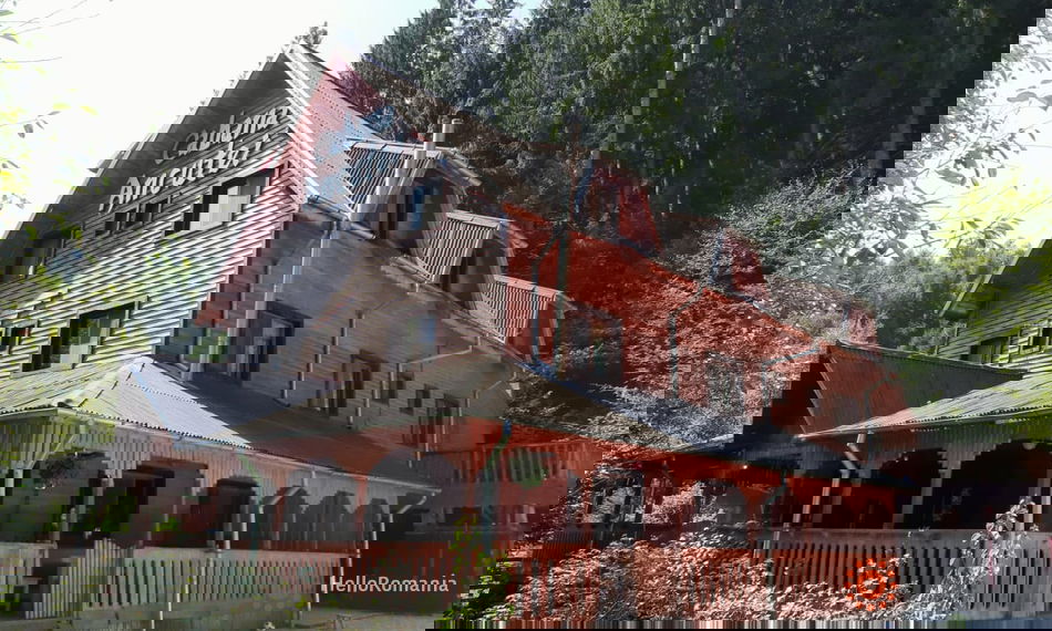 Vizitează Ancutei  Galerie Ancutei