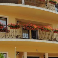 Imagine Pensiunea Casa Cu Flori 